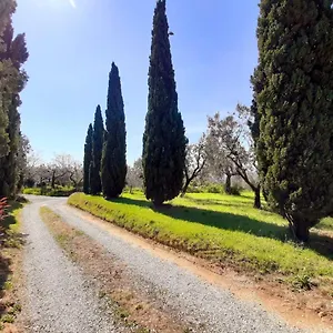 Il Palagio Ferienhaus Vinci